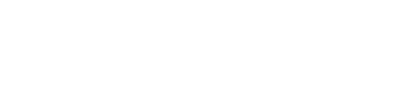 Pep Web Digital Bijeli Logo